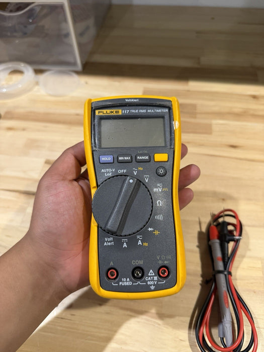 FLUKE 117 TRUE RMS MULTIMETER W/LEADS & CLIPS (TESTED) SHIPS FAST